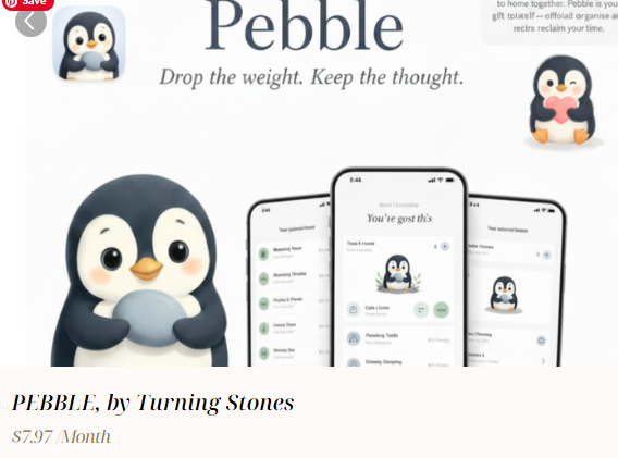 Pebble app preview showing voice journaling and daily prompts
